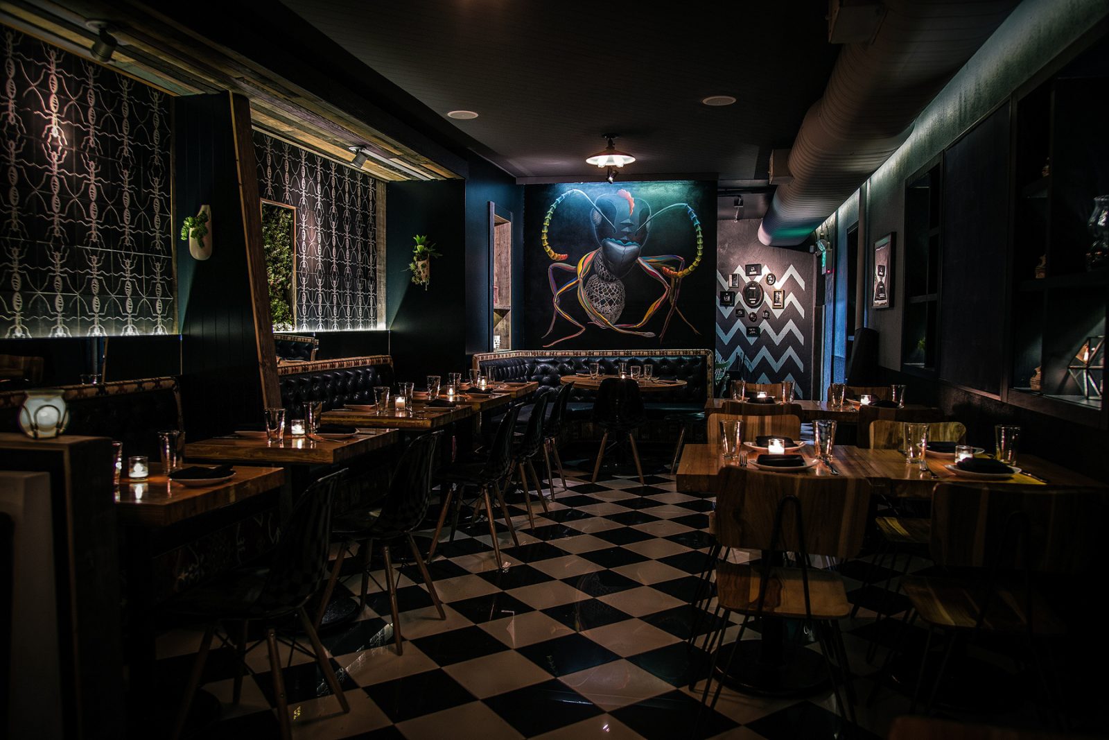 RESTAURANT REVIEW THE BLACK ANT Ideal Magazine